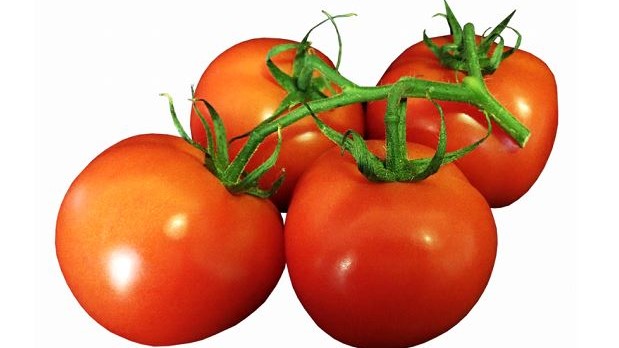 bea tomate acido raro.JPG